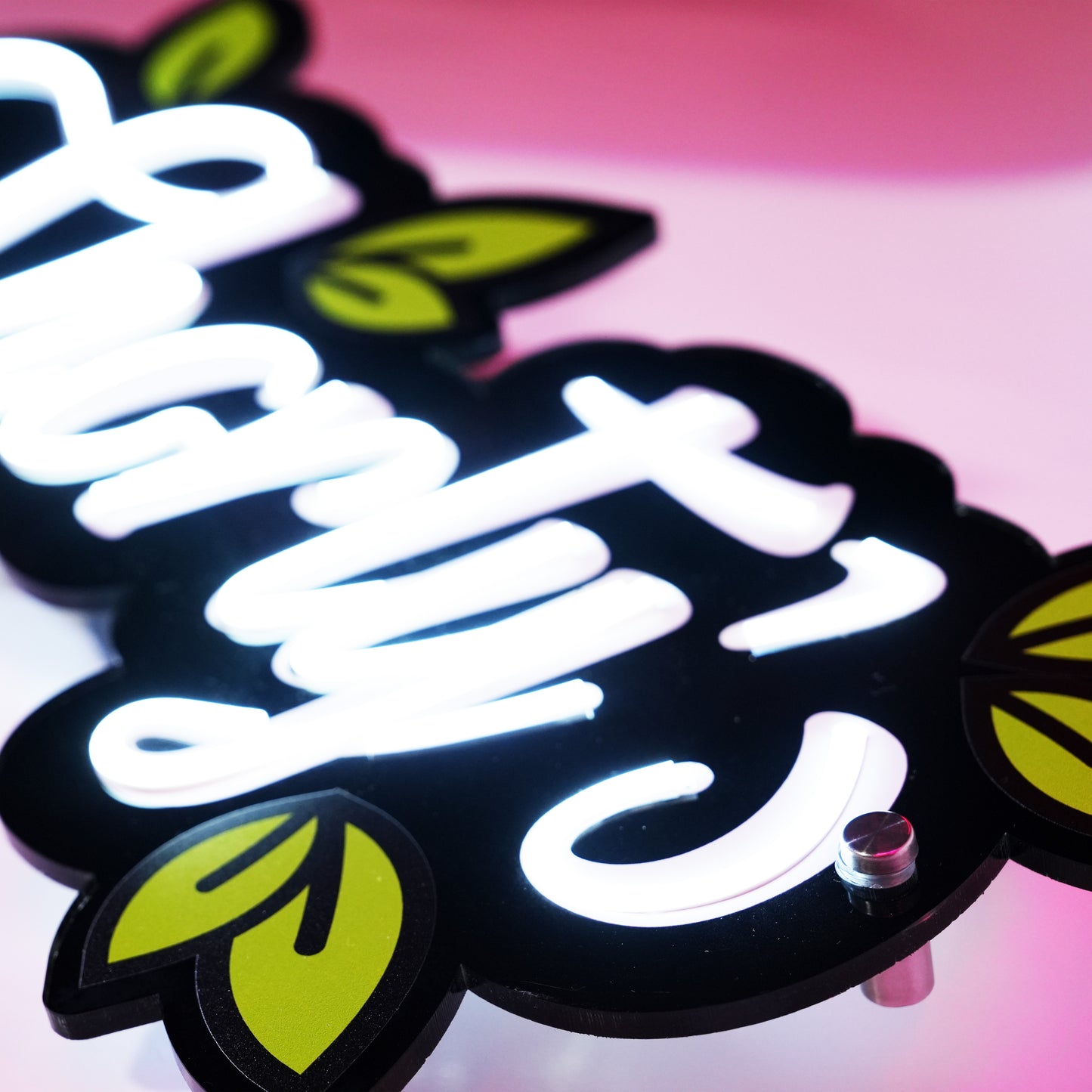 Neon LED Signs