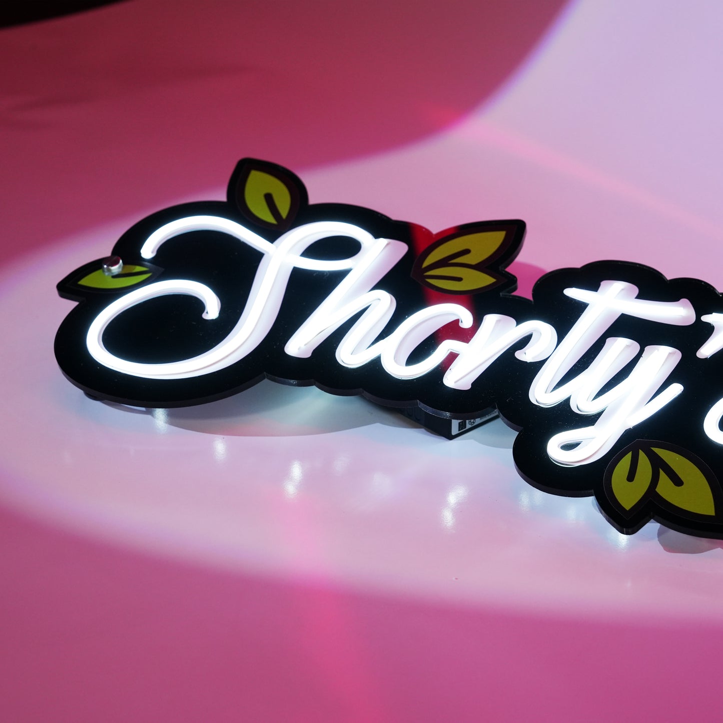 Neon LED Signs